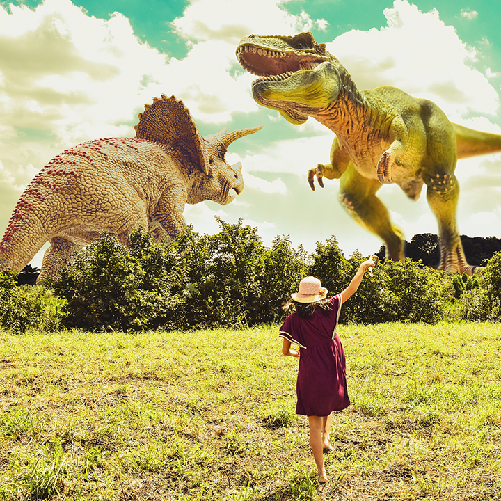 ガッツ！トリケラ